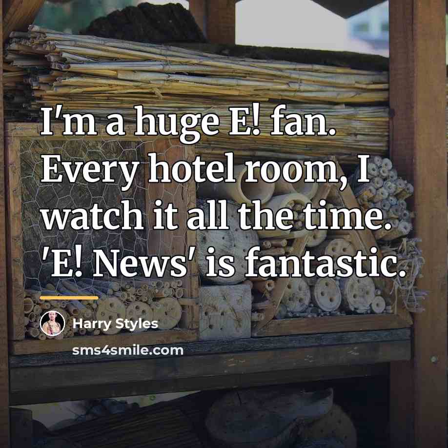 “I'm a huge E! fan. Every hotel room, I watch…” quote by Harry Styles