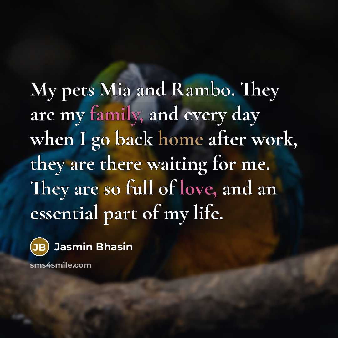 “My pets Mia and Rambo. They are my family, and every day when I go back home after work, they are there waiting for me. They are so full of love, and an essential part of my life.” quote by Jasmin Bhasin