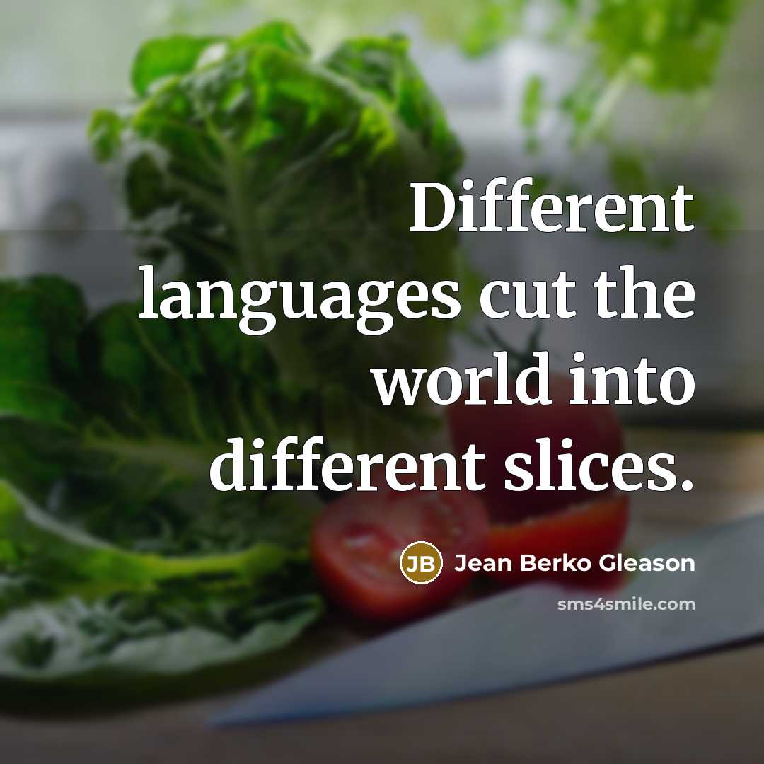 “Different languages cut the world into different slices.…” quote by Jean Berko Gleason