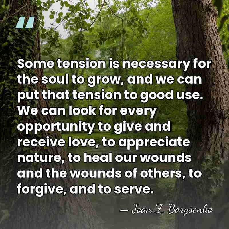 Some tension is necessary for the soul to grow, and we can&hellip; - Joan Z. Borysenko