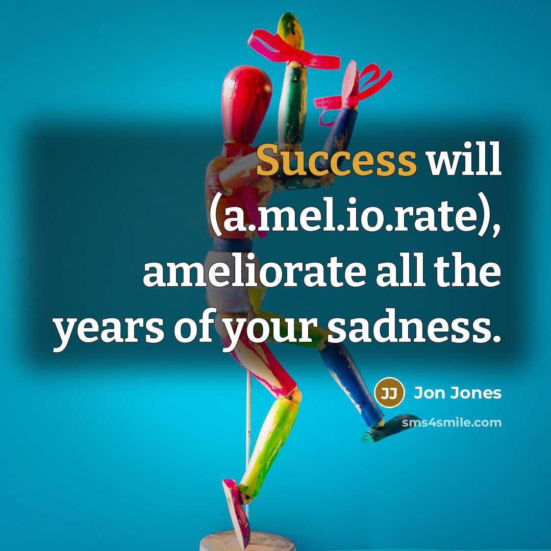 “Success will (a.mel.io.rate), ameliorate all the years of your sadness.…” quote by Jon Jones