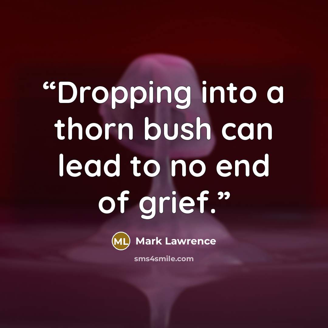 “Dropping into a thorn bush can lead to no end of grief.” quote by Mark Lawrence