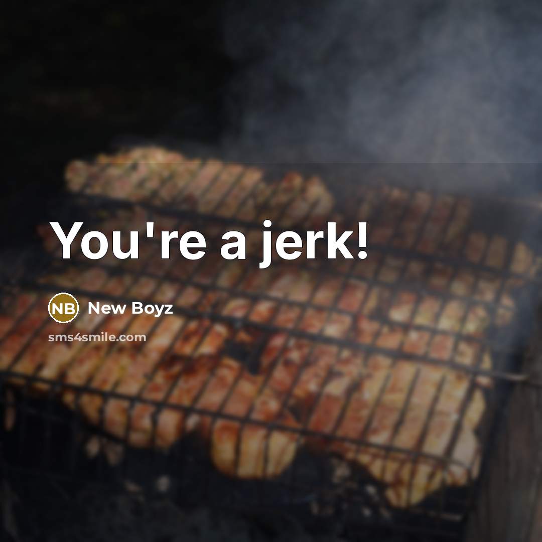 “You're a jerk!…” quote by New Boyz