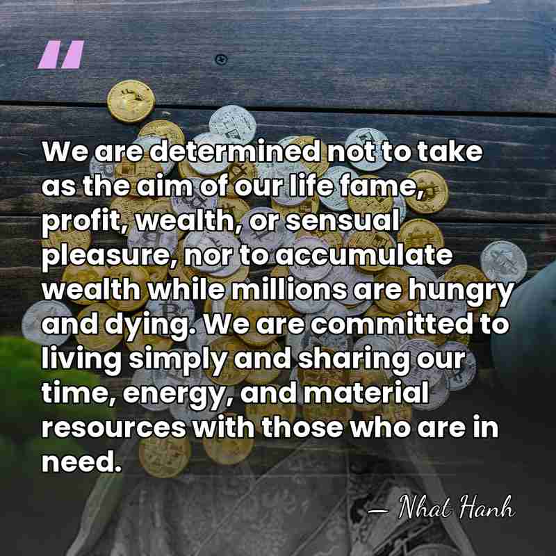 We are determined not to take as the aim of our life&hellip; - Nhat Hanh