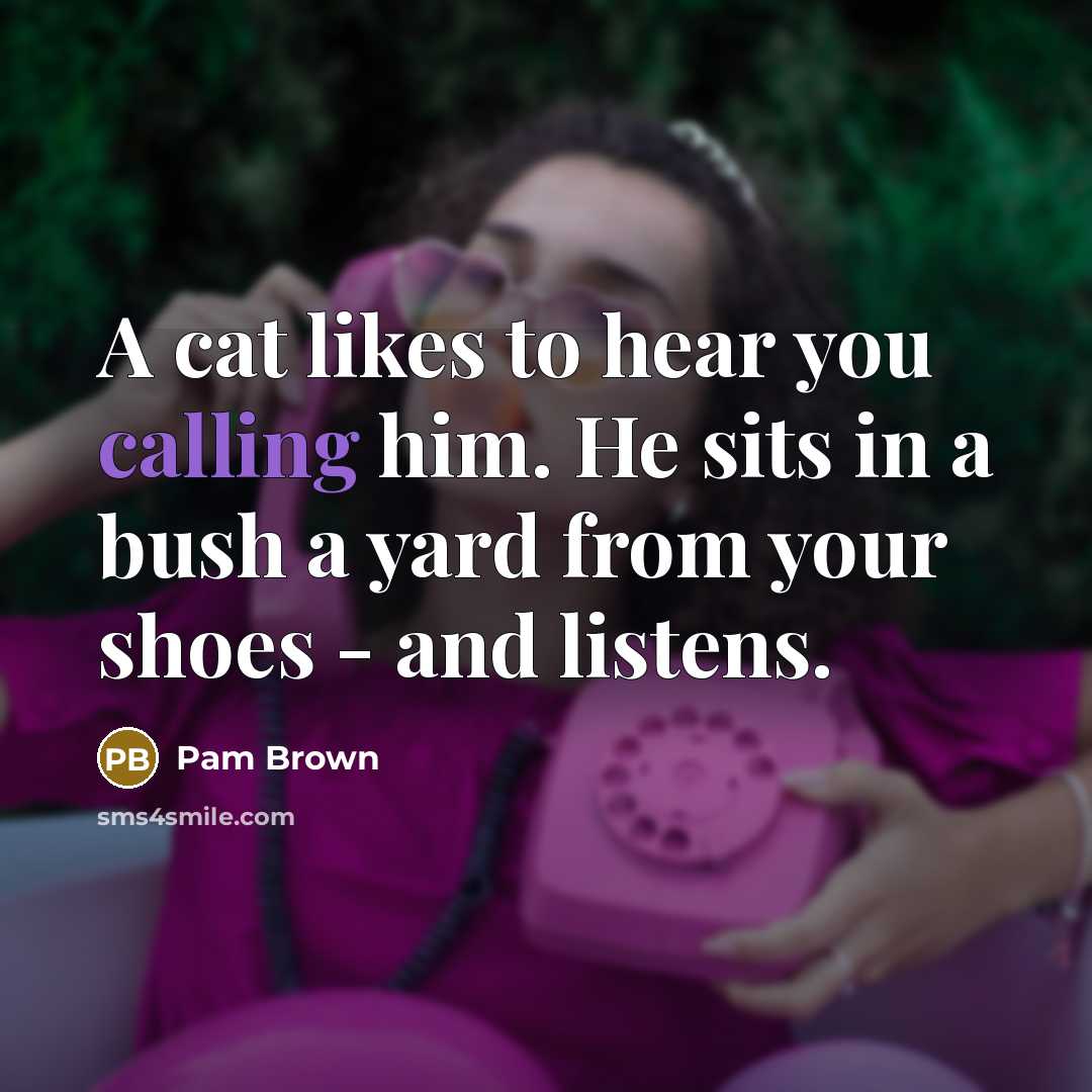 “A cat likes to hear you calling him. He sits…” quote by Pam Brown