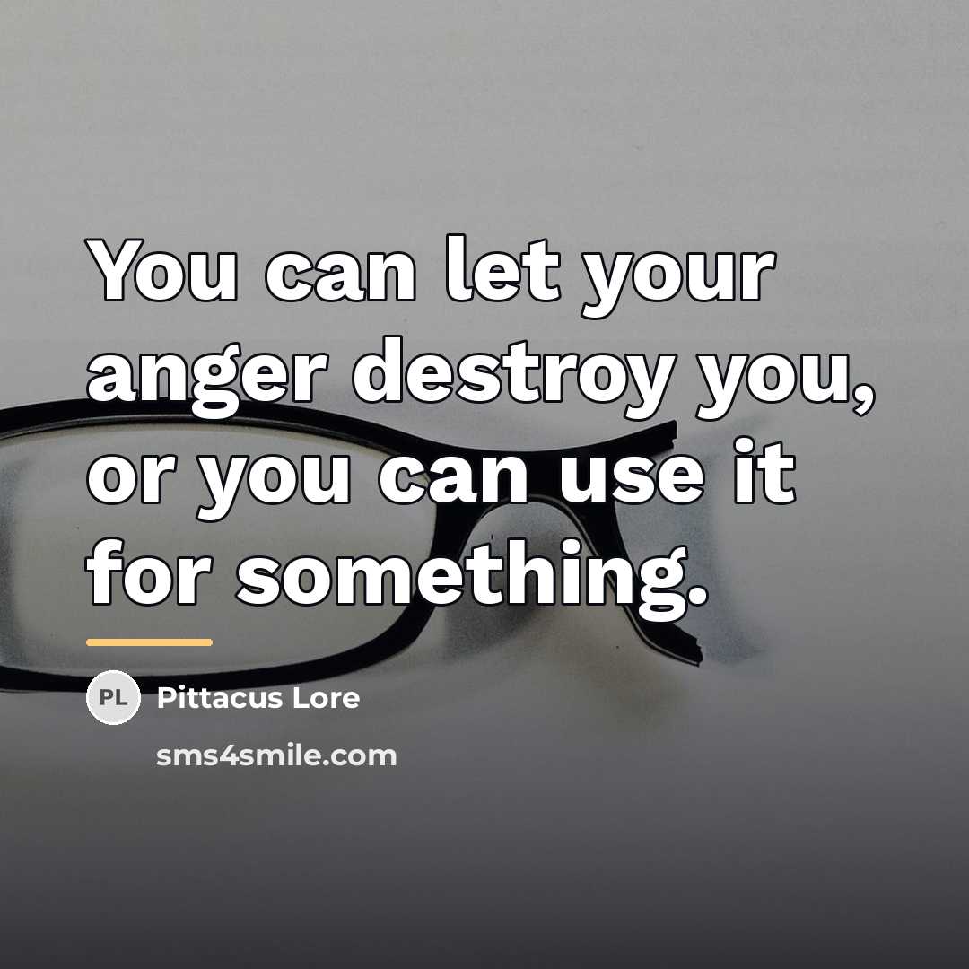 “You can let your anger destroy you, or you can…” quote by Pittacus Lore