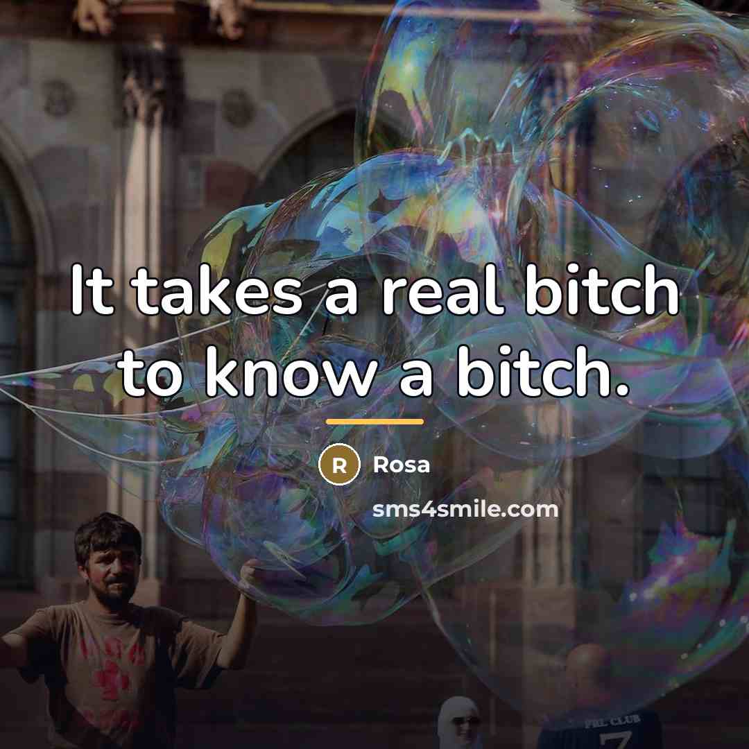 “It takes a real bitch to know a bitch.…” quote by Rosa