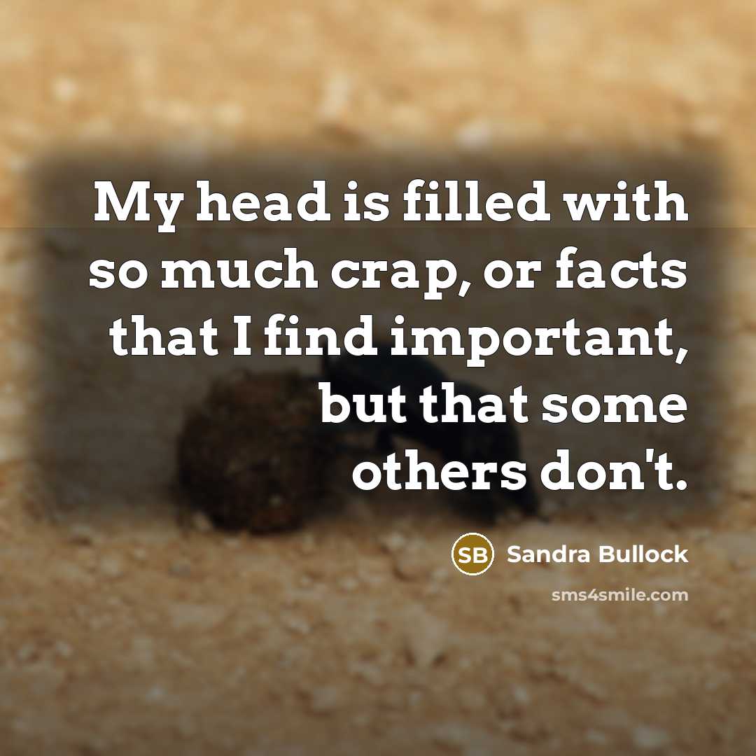 “My head is filled with so much crap, or facts…” quote by Sandra Bullock