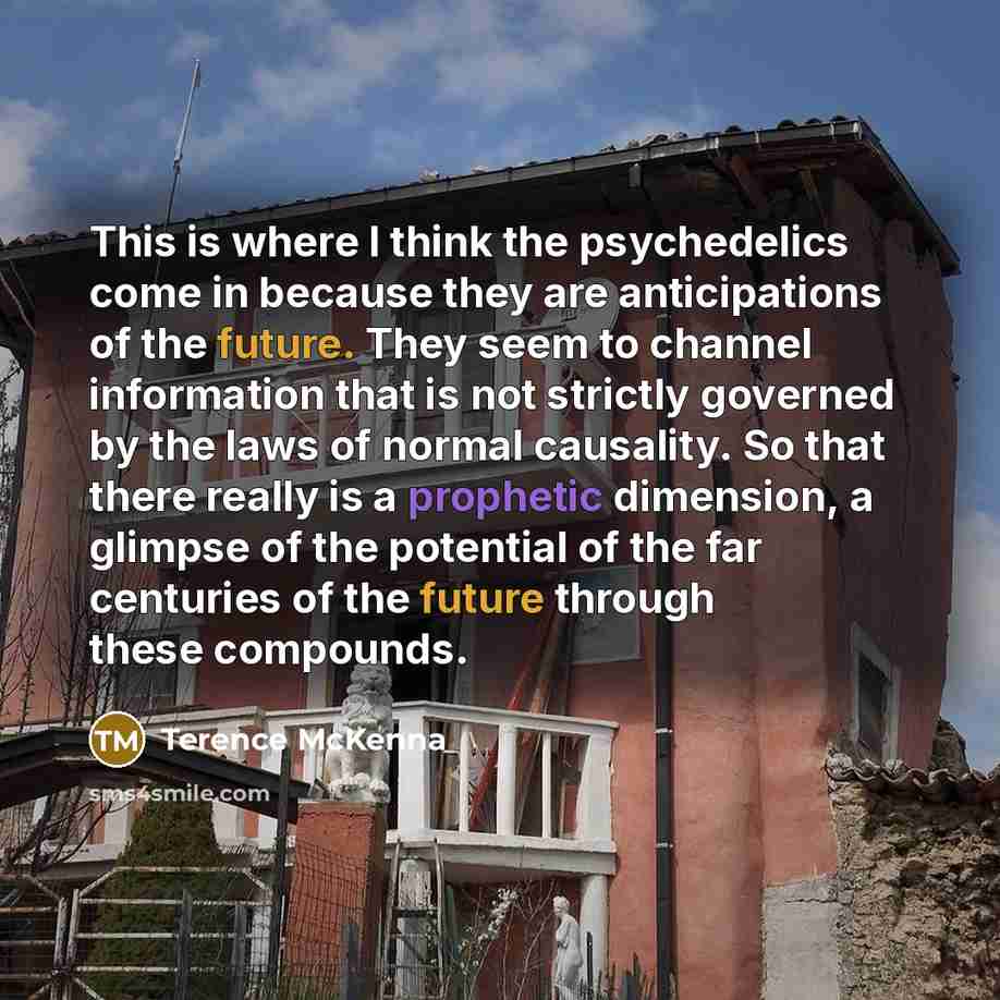 “This is where I think the psychedelics come in because…” quote by Terence McKenna