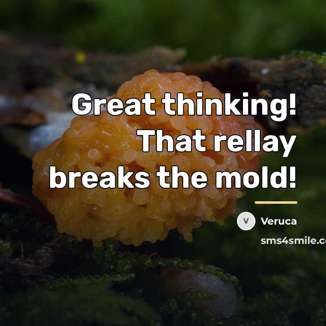 “Great thinking! That rellay breaks the mold!…” quote by Veruca