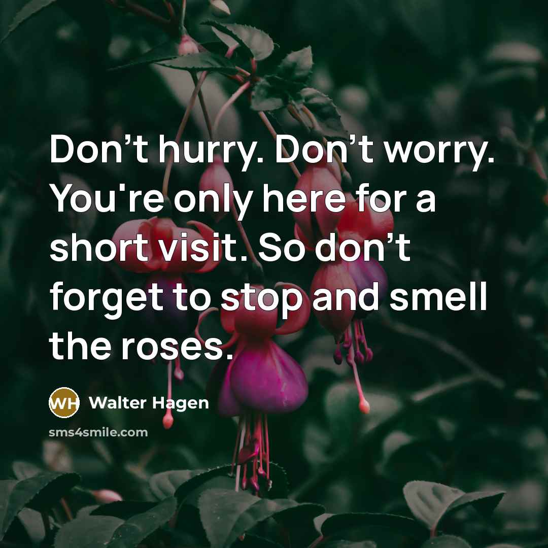 “Don't hurry. Don't worry. You're only here for a short…” quote by Walter Hagen
