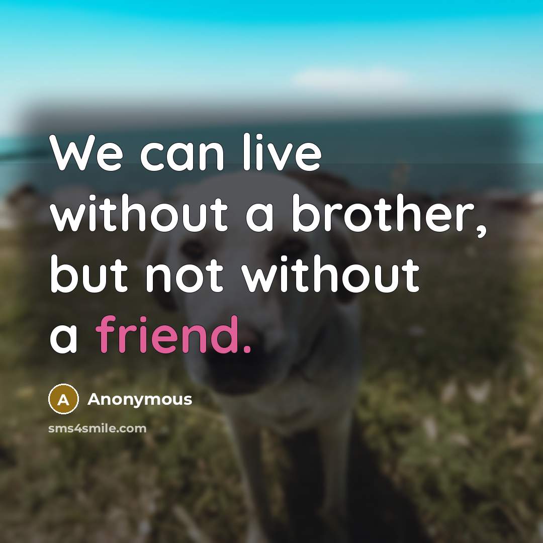 “We can live without a brother, but not without a…” quote by Anonymous