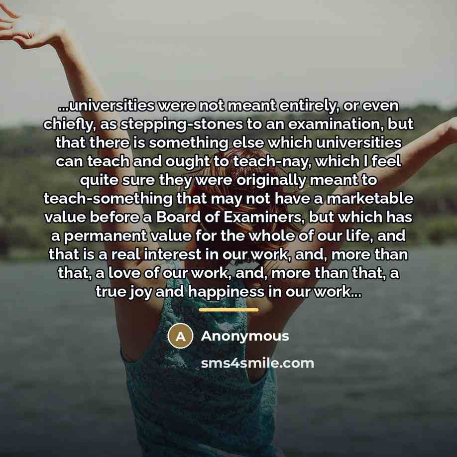 “...universities were not meant entirely, or even chiefly, as stepping-stones…” quote by Anonymous