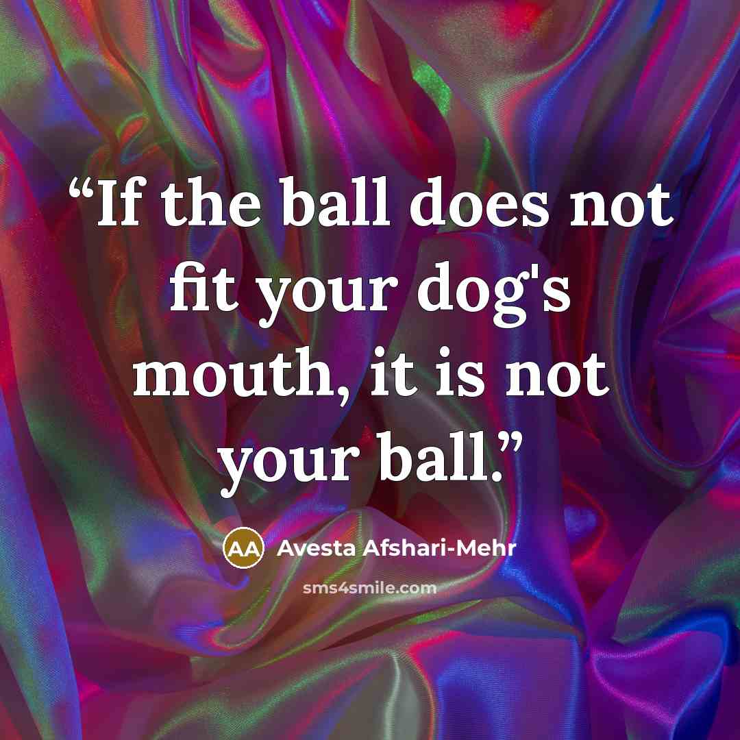 “If the ball does not fit your dog's mouth, it is not your ball.” quote by Avesta Afshari-Mehr