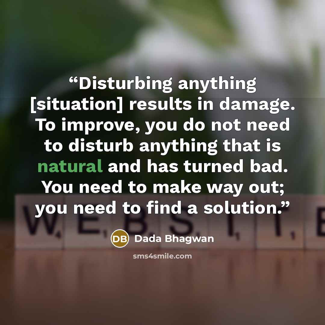 “Disturbing anything [situation] results in damage. To improve, you do not need to disturb anything that is natural and has turned bad. You need to make way out; you need to find a solution.” quote by Dada Bhagwan
