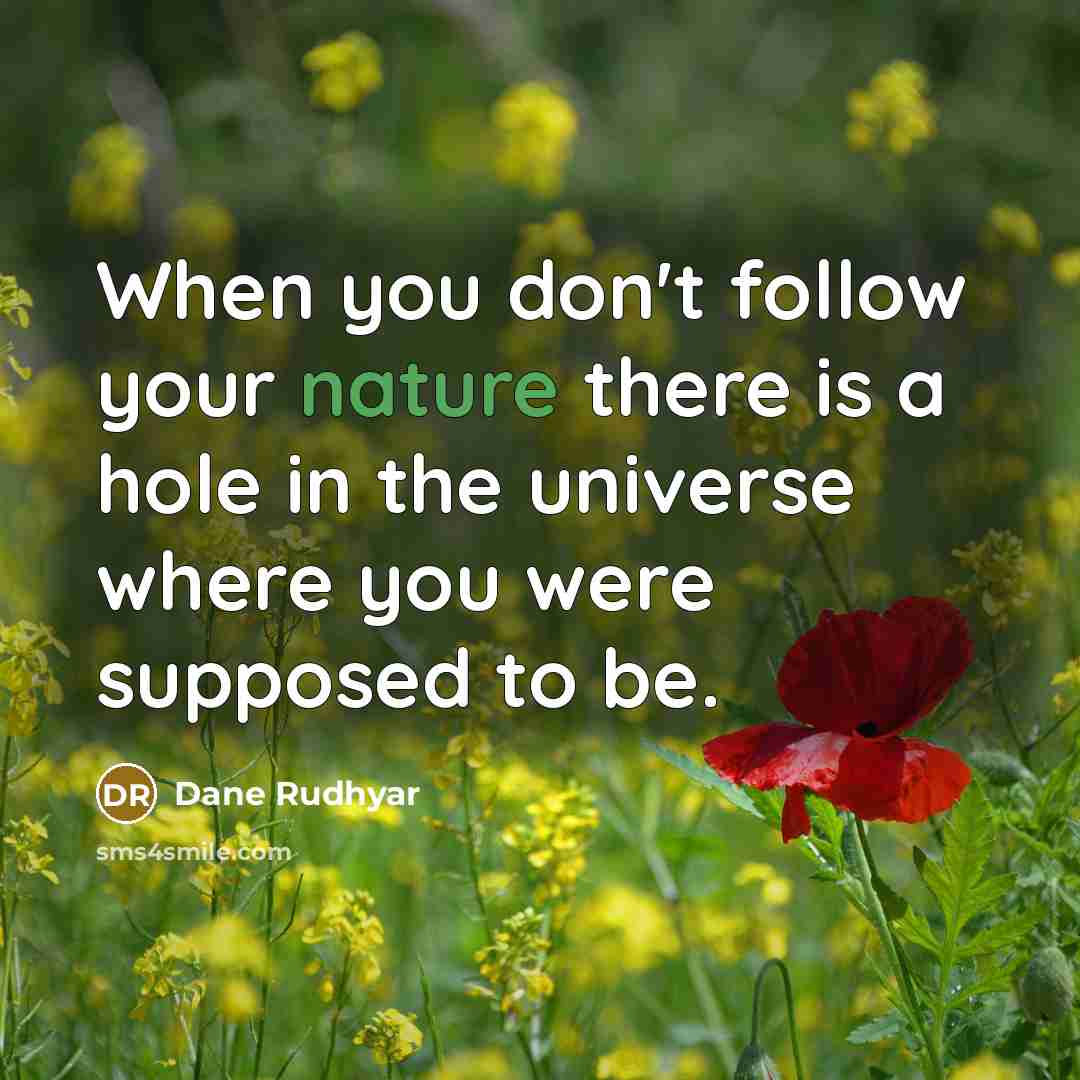 “When you don't follow your nature there is a hole…” quote by Dane Rudhyar