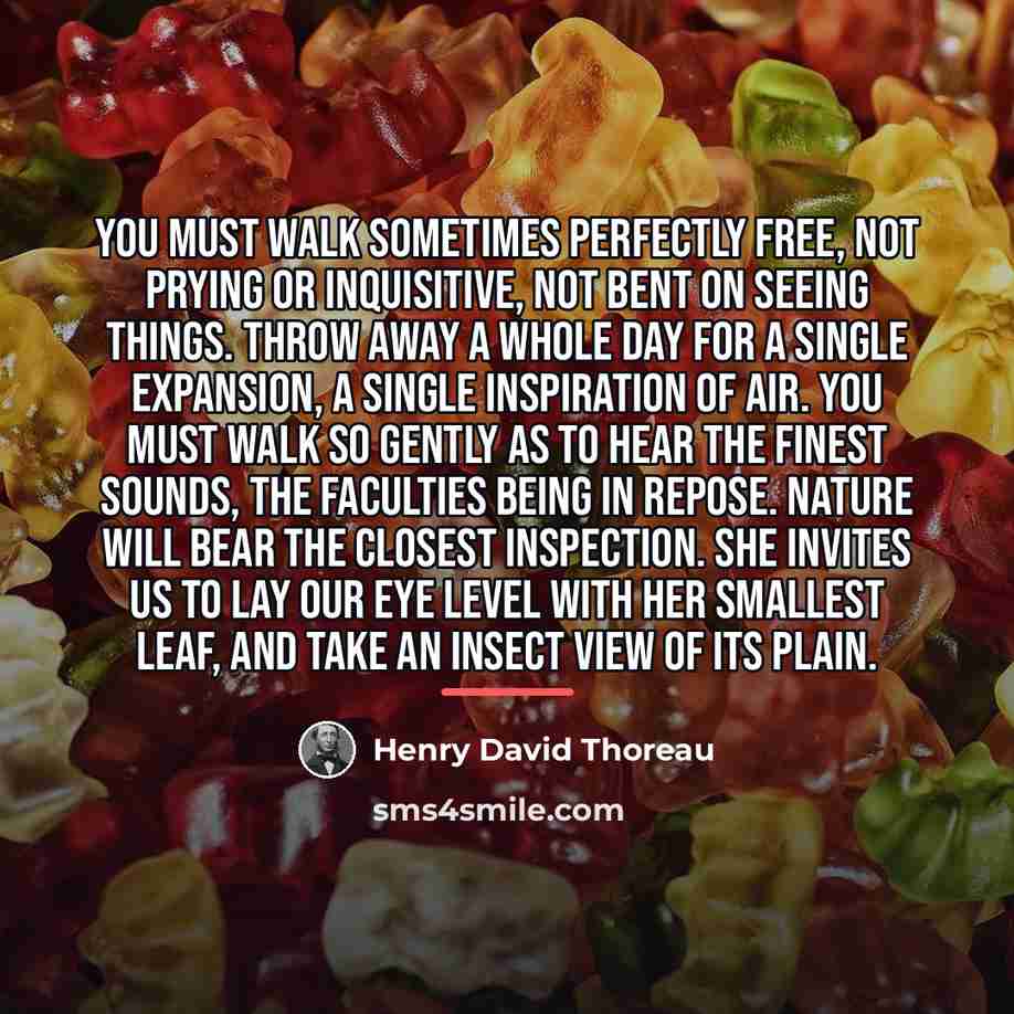 “You must walk sometimes perfectly free, not prying or inquisitive,…” quote by Henry David Thoreau