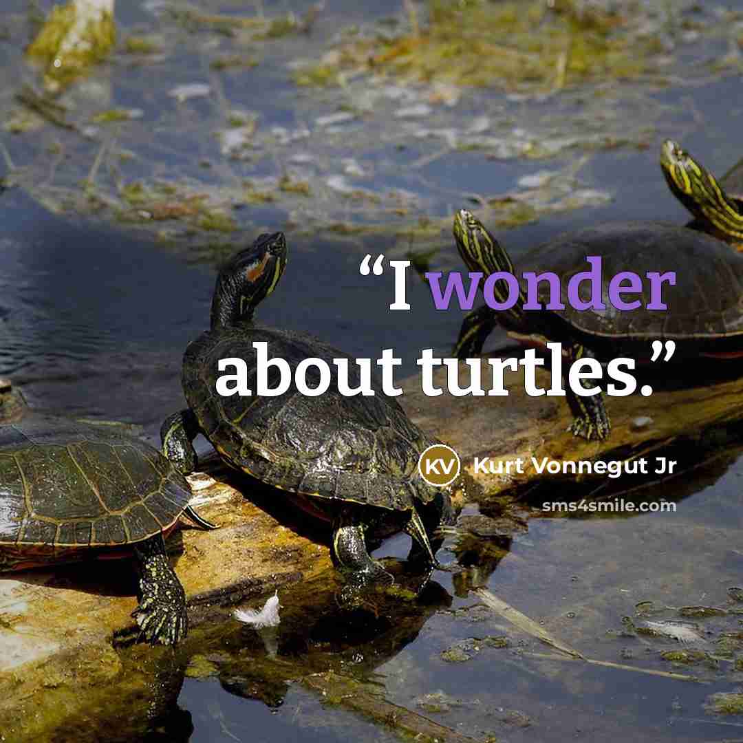 “I wonder about turtles.” quote by Kurt Vonnegut Jr