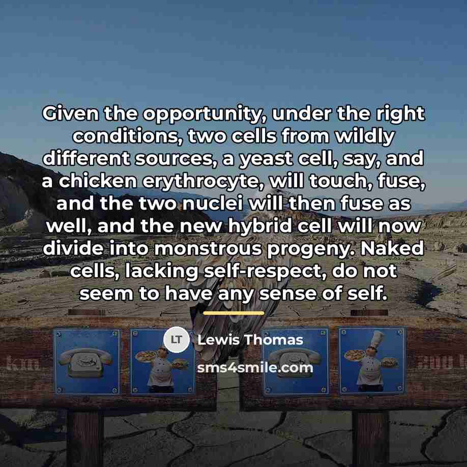 “Given the opportunity, under the right conditions, two cells from…” quote by Lewis Thomas
