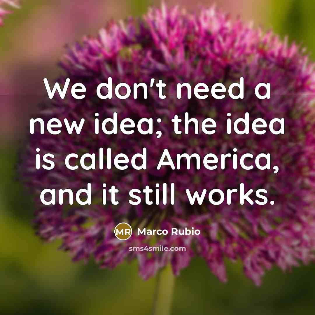 “We don't need a new idea; the idea is called…” quote by Marco Rubio
