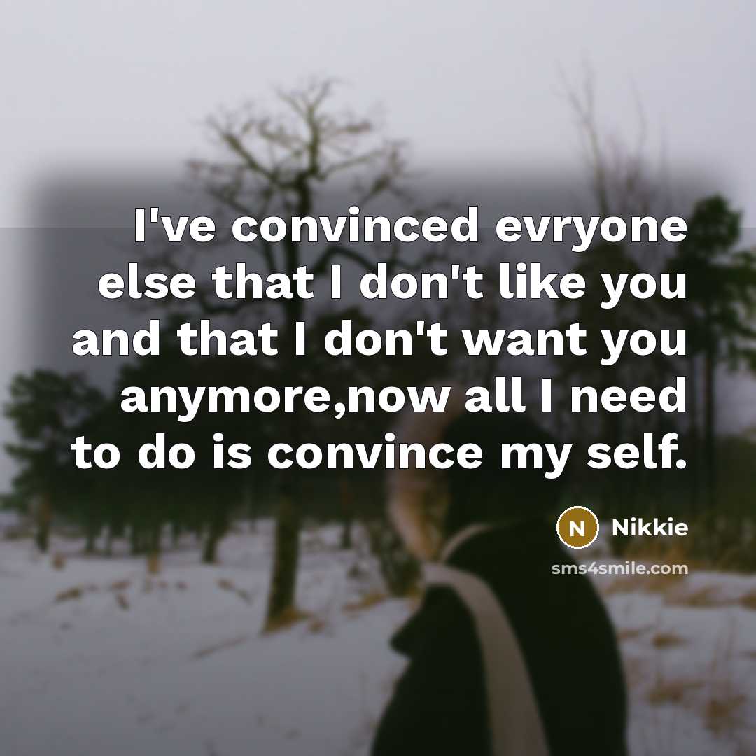“I've convinced evryone else that I don't like you and…” quote by Nikkie