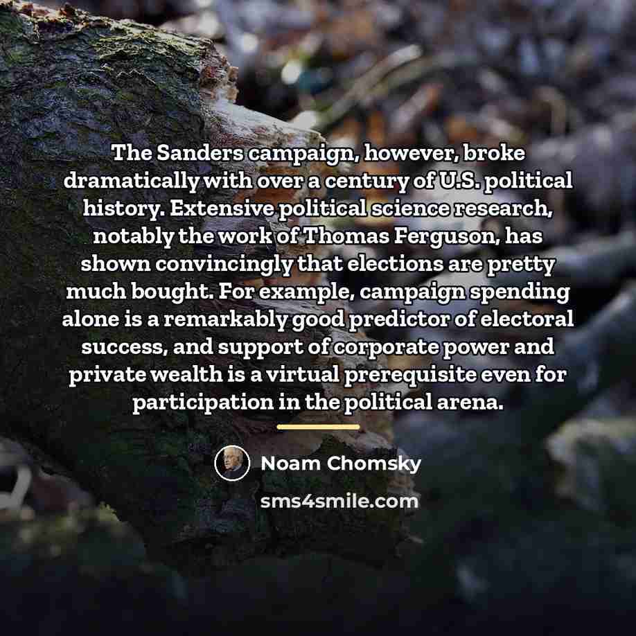“The Sanders campaign, however, broke dramatically with over a century…” quote by Noam Chomsky