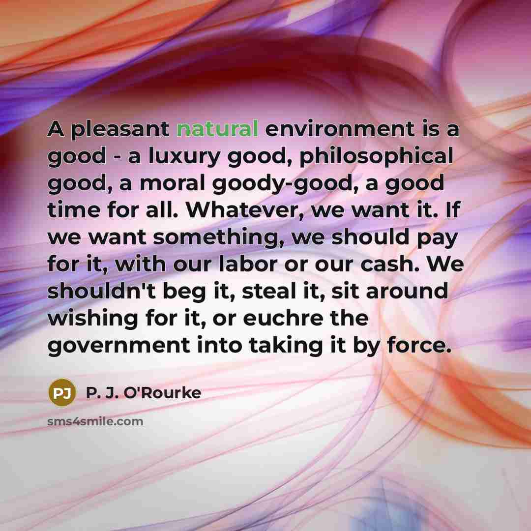 “A pleasant natural environment is a good - a luxury…” quote by P. J. O'Rourke