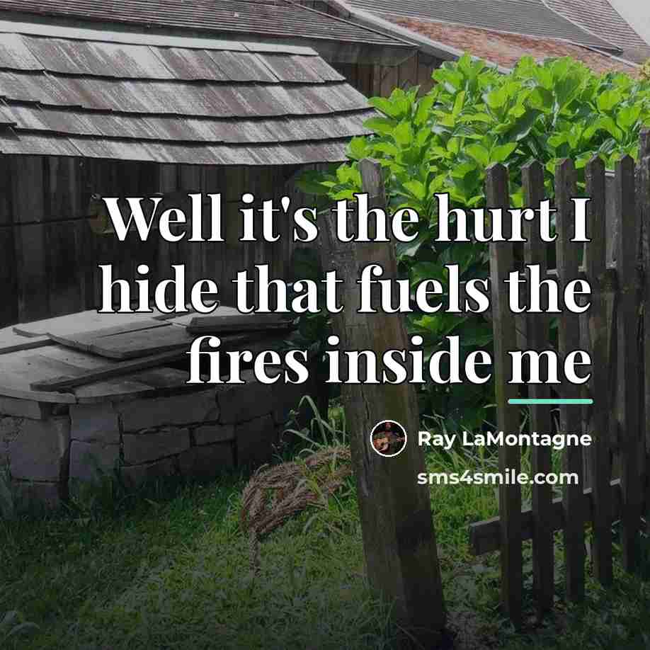 “Well it's the hurt I hide that fuels the fires…” quote by Ray LaMontagne