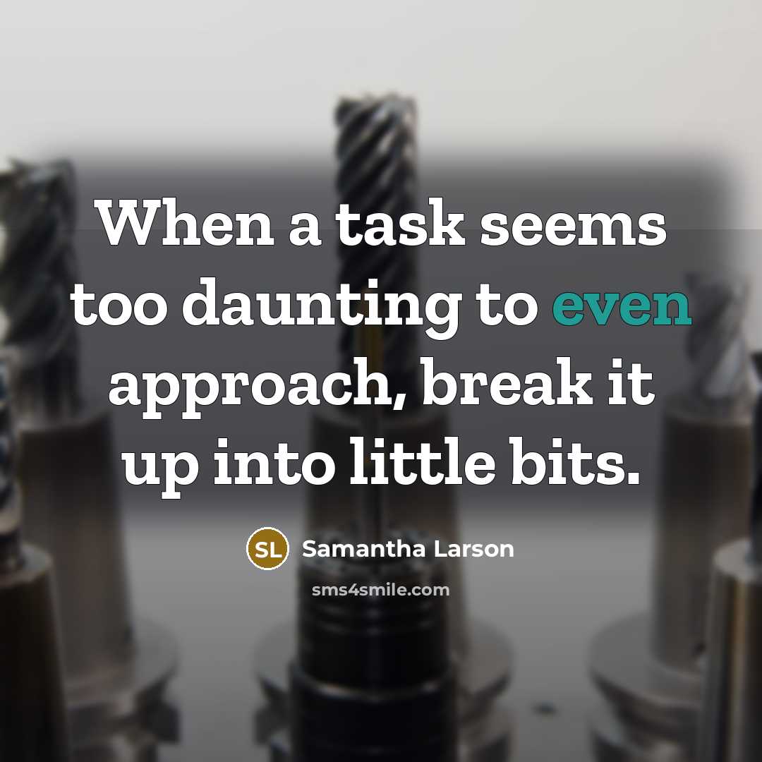 “When a task seems too daunting to even approach, break it up into little bits.” quote by Samantha Larson