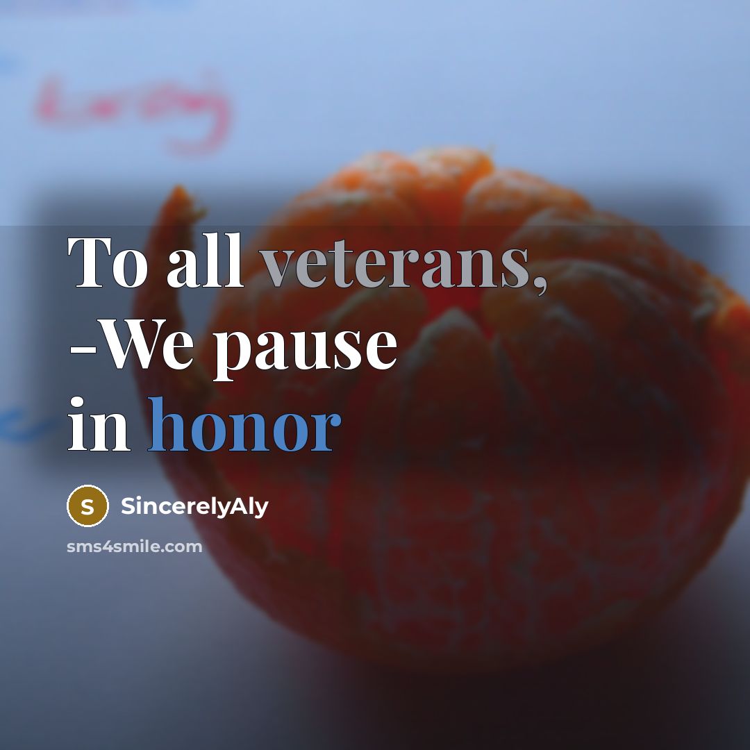 “To all veterans, -We pause in honor” quote by SincerelyAly