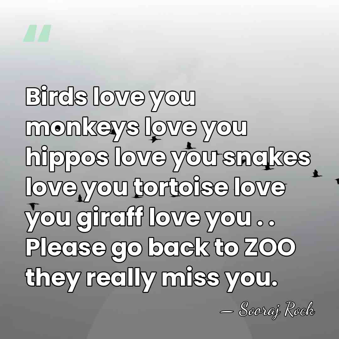 Birds love you monkeys love you hippos love you snakes love you&hellip; - Sooraj Rock