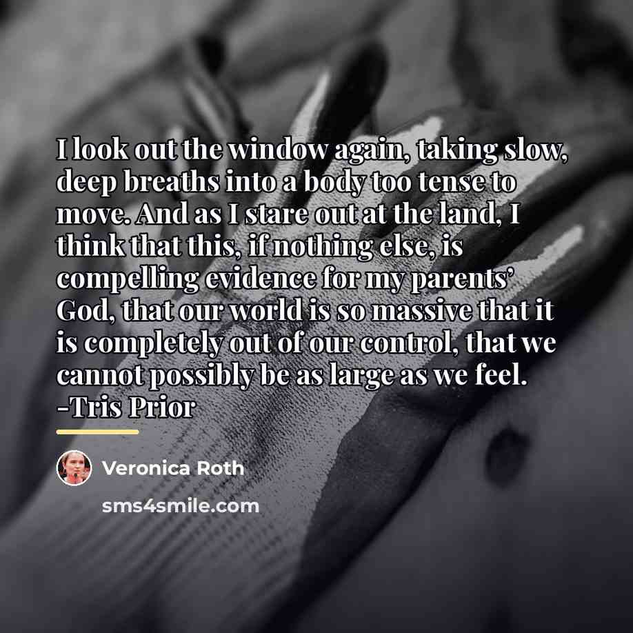 “I look out the window again, taking slow, deep breaths…” quote by Veronica Roth