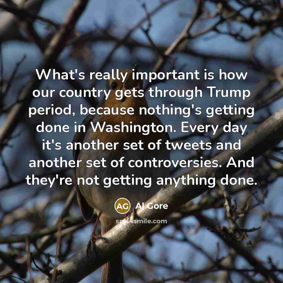 “What's really important is how our country gets through Trump…” quote by Al Gore