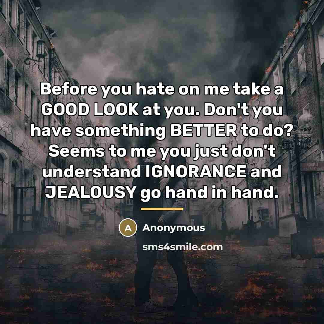 “Before you hate on me take a GOOD LOOK at…” quote by Anonymous