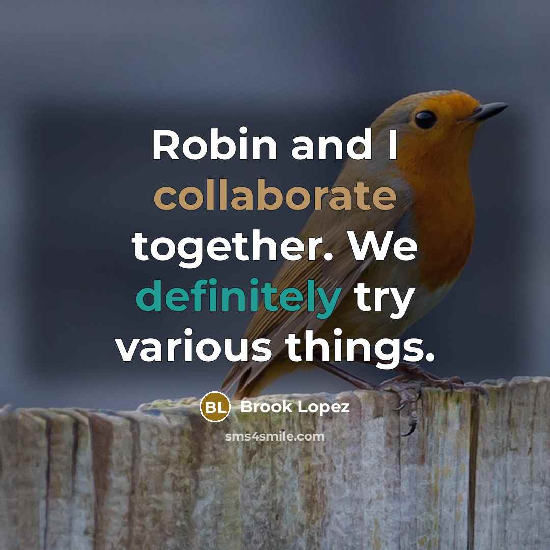 “Robin and I collaborate together. We definitely try various things.” quote by Brook Lopez