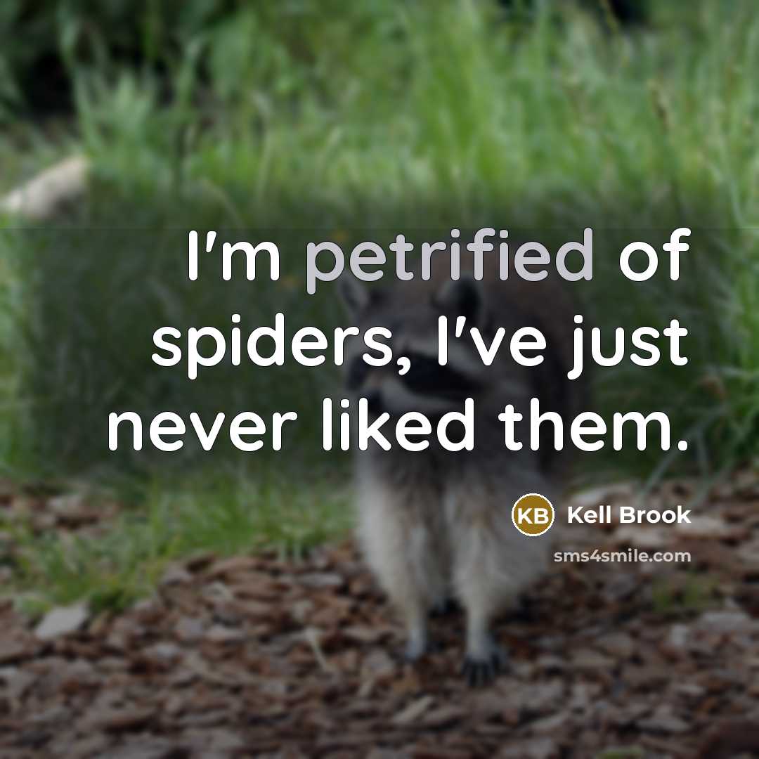 “I'm petrified of spiders, I've just never liked them.…” quote by Kell Brook