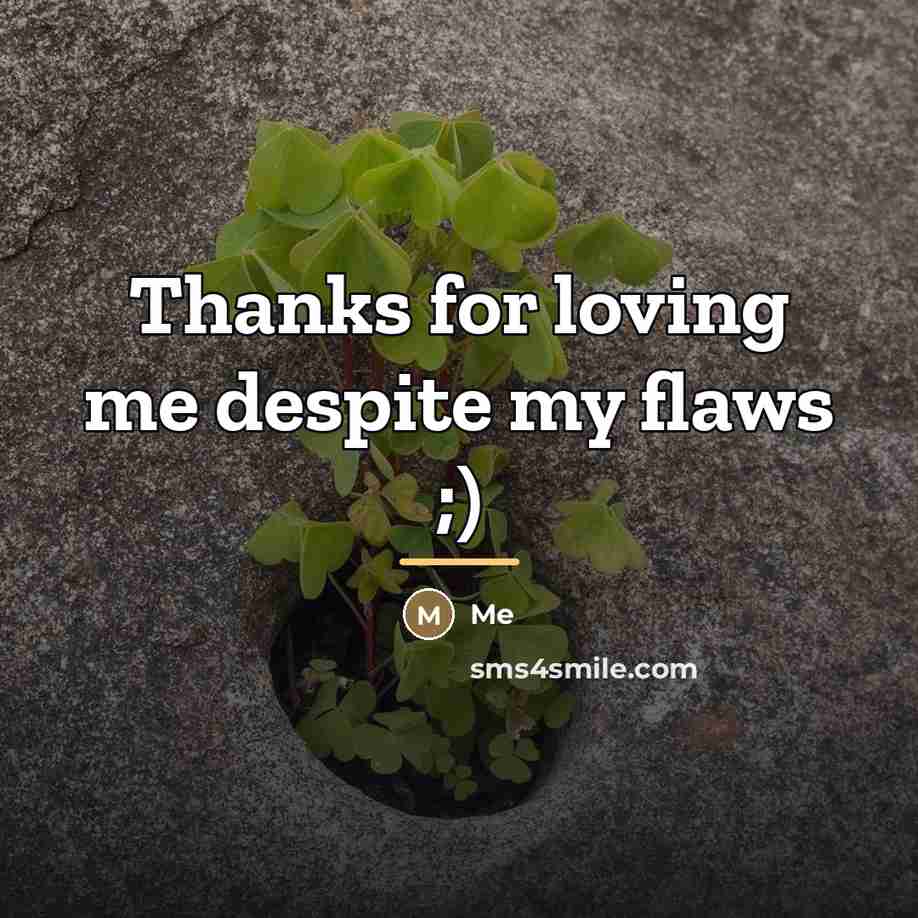 “Thanks for loving me despite my flaws ;)…” quote by Me