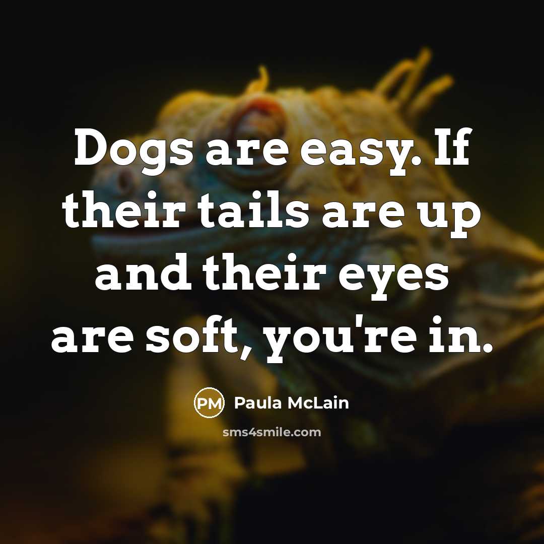 “Dogs are easy. If their tails are up and their eyes are soft, you're in.” quote by Paula McLain