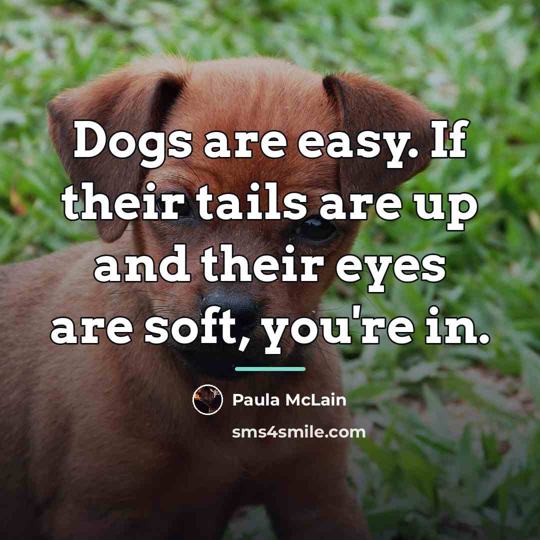 “Dogs are easy. If their tails are up and their…” quote by Paula McLain