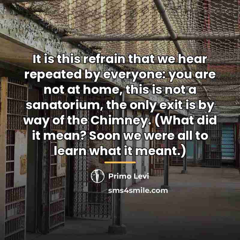 “It is this refrain that we hear repeated by everyone:…” quote by Primo Levi