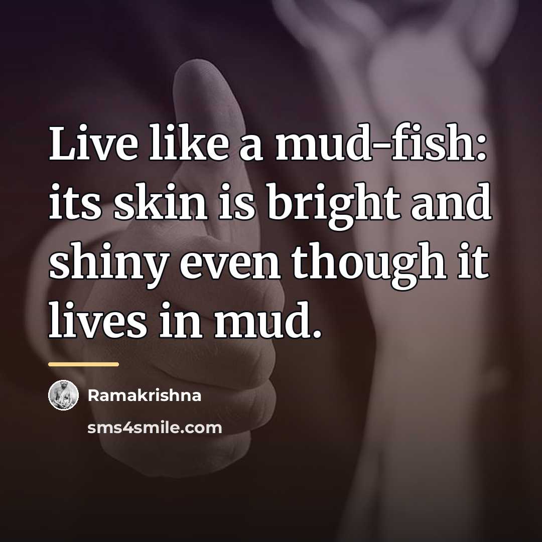 “Live like a mud-fish: its skin is bright and shiny…” quote by Ramakrishna