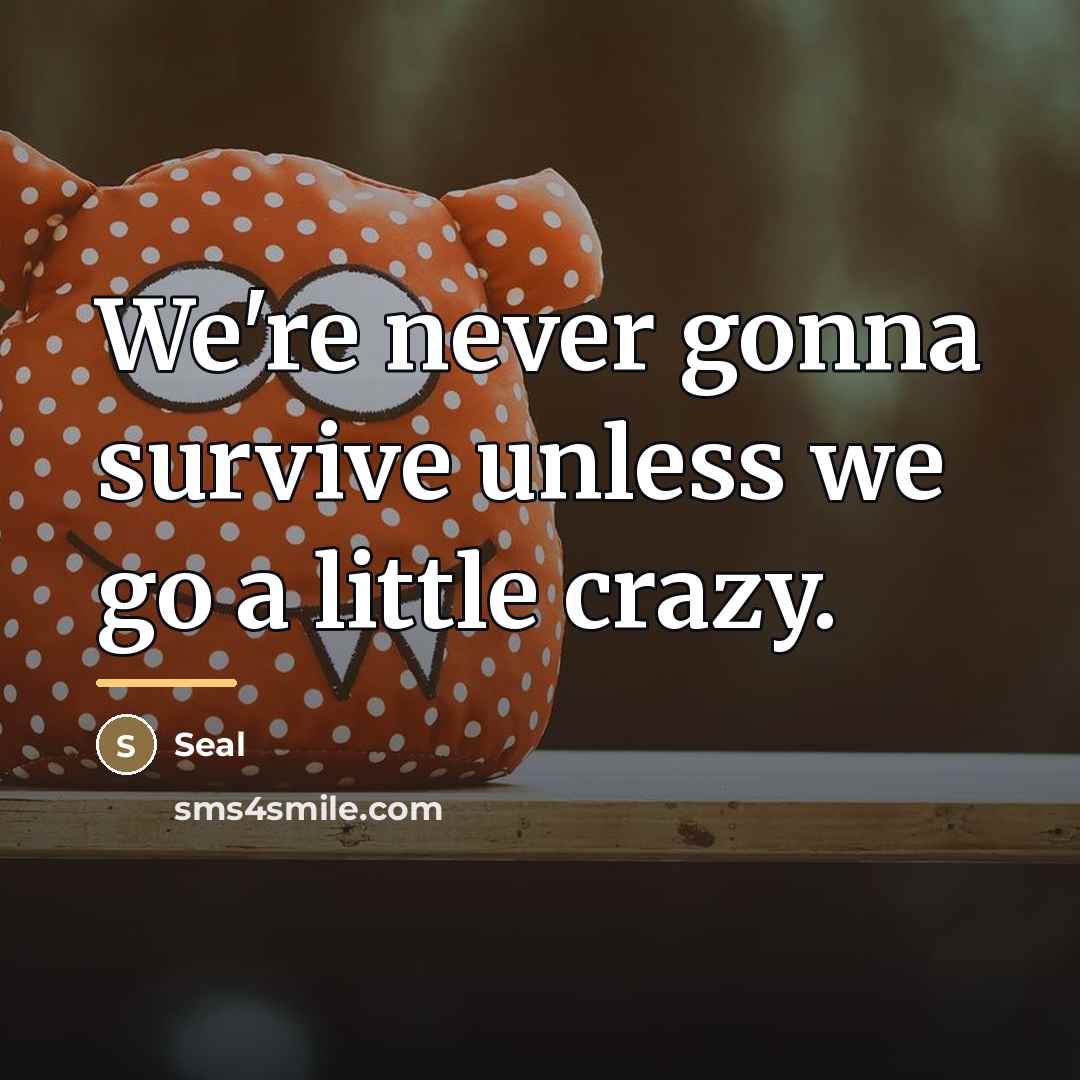 “We're never gonna survive unless we go a little crazy.…” quote by Seal