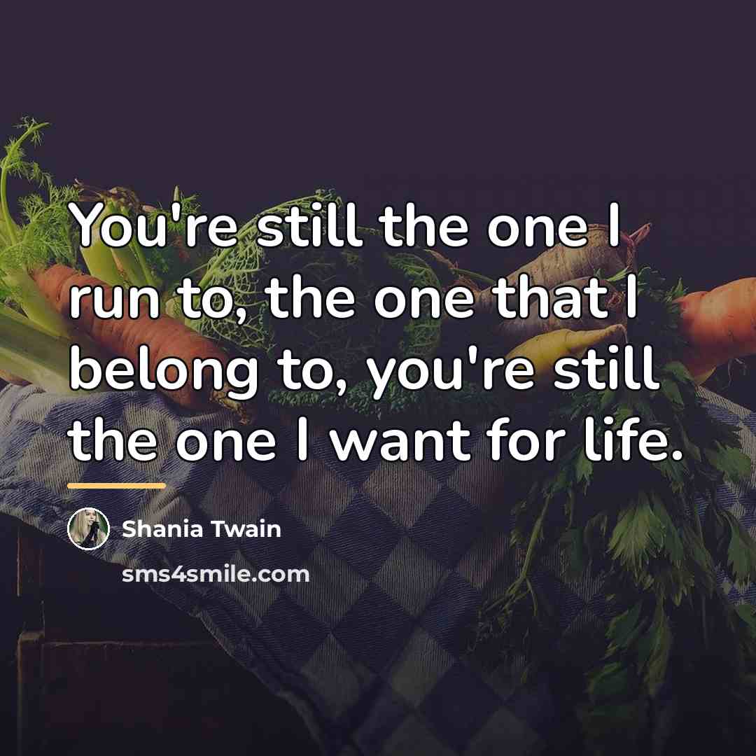 “You're still the one I run to, the one that…” quote by Shania Twain
