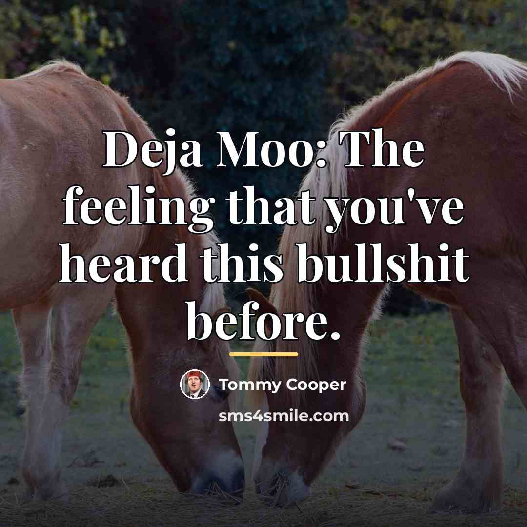 “Deja Moo: The feeling that you've heard this bullshit before.…” quote by Tommy Cooper