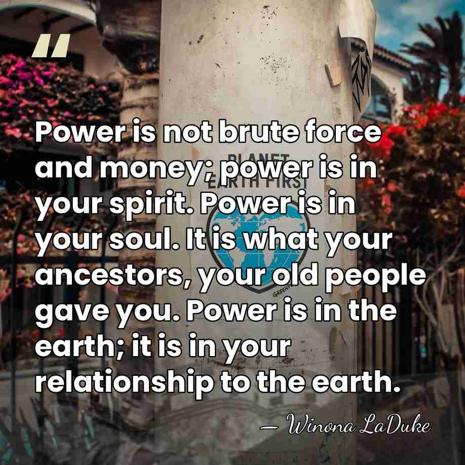 Power is not brute force and money; power is in your spirit.&hellip; - Winona LaDuke