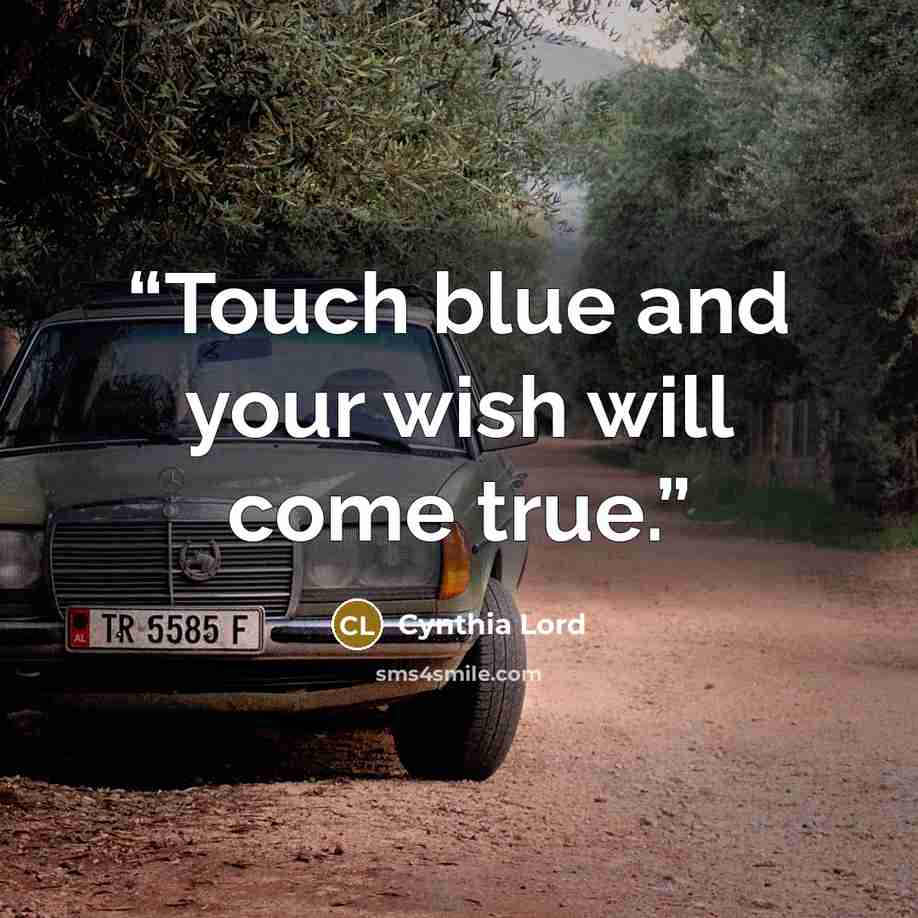 “Touch blue and your wish will come true.” quote by Cynthia Lord