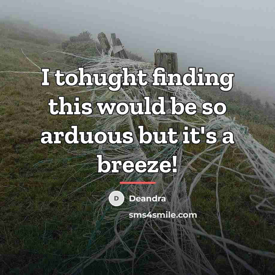 “I tohught finding this would be so arduous but it's…” quote by Deandra