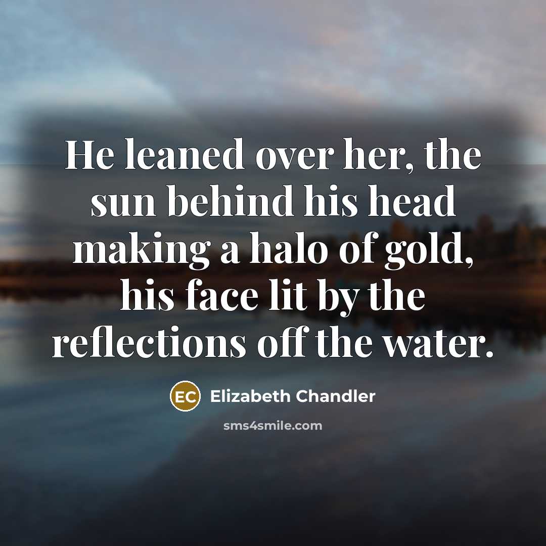 “He leaned over her, the sun behind his head making…” quote by Elizabeth Chandler
