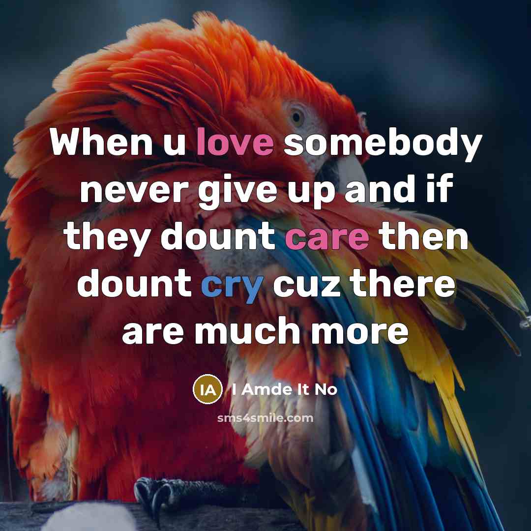 “When u love somebody never give up and if they dount care then dount cry cuz there are much more” quote by I Amde It No