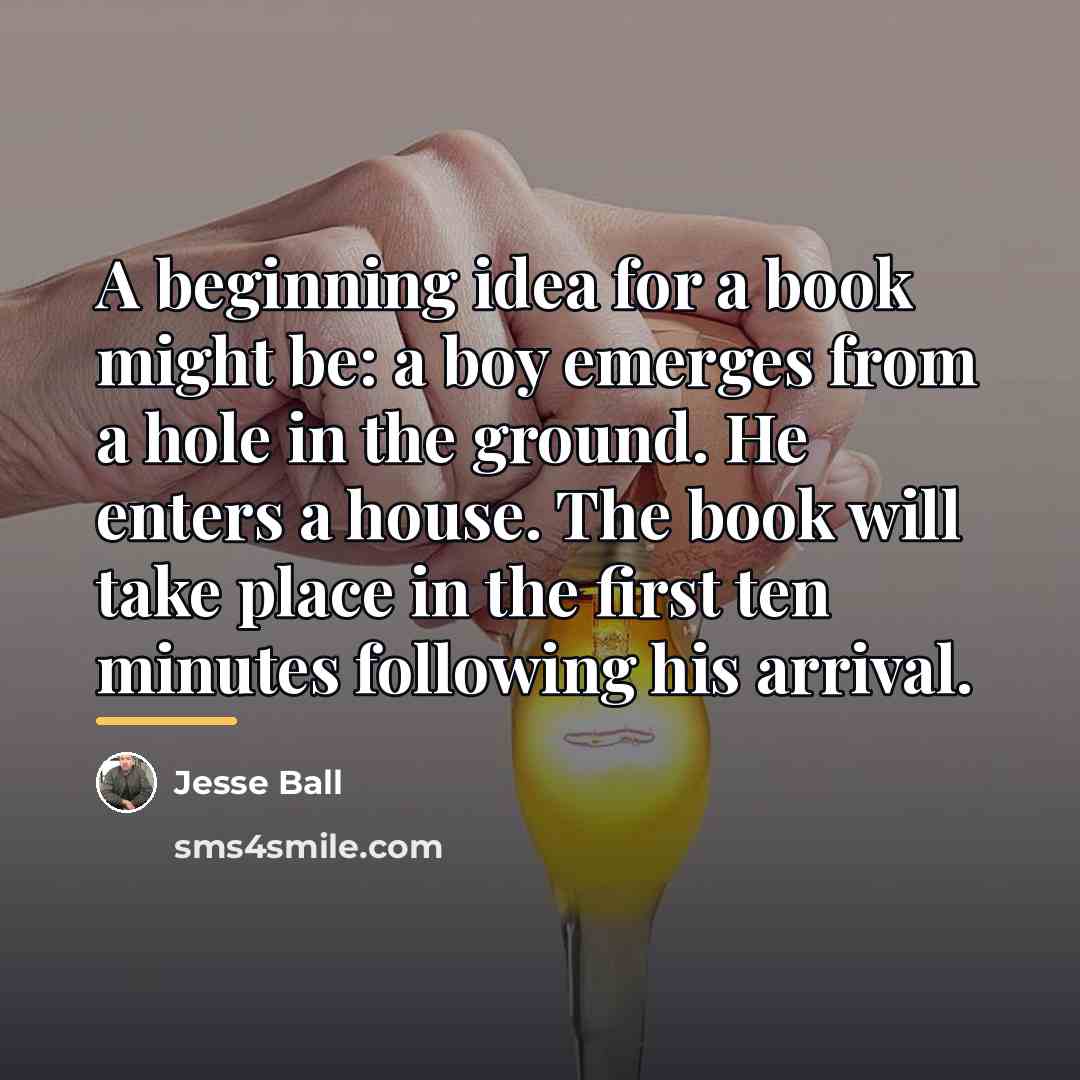 “A beginning idea for a book might be: a boy…” quote by Jesse Ball